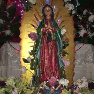 Meet your Posher, Carmen